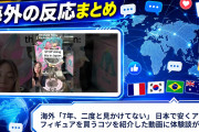 海外「7年、二度と見かけてない」 日本で安くアニメフィギュアを買うコツを紹介した動画に体験談が殺到