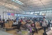 【韓国の反応】１ヶ月ぶりに半減された大阪航空券…「済州の代わりに日本に行こう」