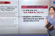 WSJ「韓国の半導体供給中断は世界的な災難」 中国メディア「日本が米国から学び、貿易制裁遊びをした」と指摘　韓国の反応