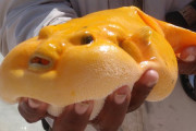 外国人「俺達でも食欲が湧かない見た目してるものを挙げてみよう」