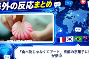 【海外の反応】「食べ物じゃなくてアート」京都の京菓子に世界が夢中