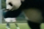 中国人「日本サッカーが全ての年代で成長し続けている理由」　中国人「科学と規律を尊重する」「諦めて寝るしかない」