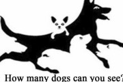 【画像】この絵の中に犬は何匹いるでしょう→８匹！！！