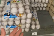 【関税問題】米国産卵が高騰ｗｗｗ「1個1万ウォンとか草」国民ブチギレ