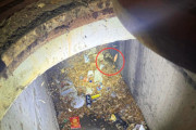 【海外】嵐の排水溝に閉じ込められた動物を救う！学校スタッフが「悲鳴」に導かれて駆けつけた感動ストーリー