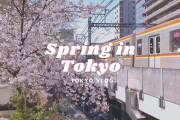 開花まで待ちきれない？だったら去年の東京の桜を見てみよう！！外国人「日本に行ってこの美しい景色を直接見たいね」