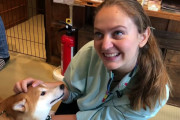 外国人「日本にある柴犬カフェ、あまりにも可愛すぎるｗｗｗ」