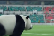 中国人「サッカー日本代表はこうして台頭できた。W杯では限界を突き破れ！」　中国人「日本人はスポーツに超真剣」「そりゃ伸びるわけだ」