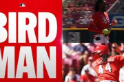 MLBの怪人が見せた優しさに全米騒然！←「鳥使いだ！」（海外の反応）