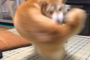 外国人「こいつゲームのボスになれるだろって奴等を集めてみよう」Part3