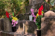 韓国人「死んでからこれをあえて食べに来るだろうか？」