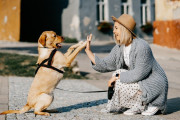 【海外】AIで解読！愛犬の気持ちを科学が明らかにする方法