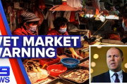 WHO「中国様の野生肉市場再開を支持します♪」豪「お前、頭おかしいのか？」[海外の反応]