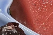 日本の刺身盛り合わせに入ってるこれは何のネタ？←「信じられない」「絶対避ける」（海外の反応）