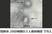 【韓国の反応】日本で無症状新型コロナウイルス感染者を確認…韓国人「対策のしようがねぇじゃねぇかよぉぉ」