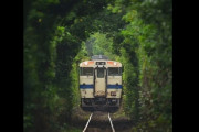 「緑のトンネル」をくぐる日本のローカル列車がジブリのように美しいと海外で話題に