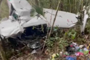 コロンビア墜落事故で13歳、9歳、4歳、1歳の子供たちがアマゾンで40日間も生き延びる …海外の反応