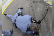【海外】警察が捨てられた子犬を救出！インターステートの真ん中での感動ストーリー