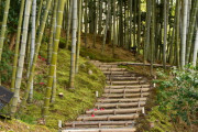 海外「竹林なら嵐山の代りに高台寺！」日本の有名観光地に負けない全国各地の名所／名物に対する海外の反応