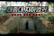 韓国紙「強制徴用された彼らはどこに ... 固く閉ざされた太宗台のトンネル1部」