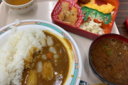 外国人「見よ、これが日本企業が出す250円の社食メニューだ」