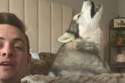飼い主さんと一緒に歌うハスキー♪素敵なハーモニーに癒やされます