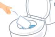 【偏見】韓国人「日本人ってトイレ文化ヤバいよね？」←どの口が言う