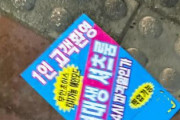 【海外の反応】なぜ韓国の風俗店はゴミを地面に投げ捨てて宣伝するのか　海外の反応「何十年も前からそうだった、恥じるべきだ」