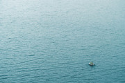 海で438日間漂流した男性、同乗者を食べて生き延びた？