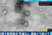 韓国人「日本と中国のコロナ患者の処理の仕方ｗｗｗｗｗｗｗｗｗｗｗｗ」＝韓国の反応