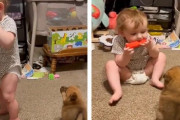 ハーモニカに夢中な赤ちゃん！赤ちゃんを愛おしそう見つめる子犬に心癒される♪