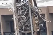 「近所のカラスが洗濯ハンガーを集めているんだけど…常軌を逸してる！」