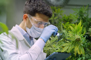パーキンソン病の患者にマリファナを投与すると…　→「医療用大麻」が有望視されている理由【海外の反応】
