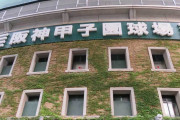海外「日本のヤクザは野球観戦で逮捕されるらしい」（海外の反応）