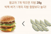 韓国人「餃子がビックマックと一緒なんて...」
