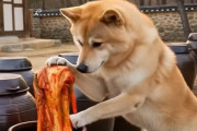 韓国人「最近のAI技術の近況」