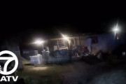海外「犬を撃とうとして人を撃つ。犯人と勘違いして顔面を殴る。アメリカの無能過ぎる警察達」