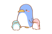日本で「要領の悪いペンギンの赤ちゃん」が可愛すぎると話題に！【台湾人の反応】