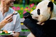 中国人「日本のアニメキャラが大好きなものを私も食べてみた」　中国人「私は超好き」「私は泣きながらSNSに4連投した」