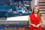 海外「アメリカでは治安が悪すぎて逆に車に鍵をかけなくなったようだlol」