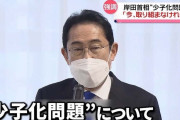 「日本の人口減少問題」を外国人がグラフ化→ 深刻すぎる実情が浮かび上がったと話題に・・