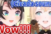 大空スバルと風真いろはのセミの鳴き真似のクオリティの差ｗｗｗ【ホロライブ】