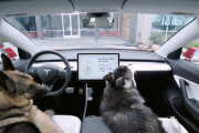 海外の高級車「Tesla(テスラ)」に待望のわんちゃん見守りモードが追加 海外の反応
