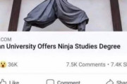 【海外の反応】日本の大学には忍者研究の学位がある　海外の反応「本物の忍者は黒を着ない、忍者はCIAに似ていた」