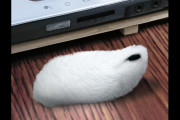 日本の未確認生物の写真が石油喰らい？毛の生えた蛇？と話題に！その正体は？【台湾人の反応】