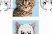 外国人さん、気付いてしまう「アニメキャラは人間ではなく子猫に近い」