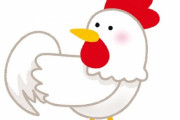 「ニワトリにスイカを与えると…こんな結果になるとは思いもしなかった！」
