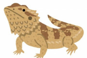 とある動物園の貼り紙「このトカゲは…はさまっていません」→その理由に納得