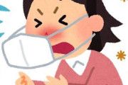 韓国人「中国さん、花粉も次元が違いすぎるｗｗｗｗｗ」