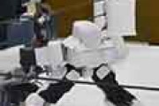 海外「とてもワクワクする！」 日本発のロボットプロレスに外国人が興味津々